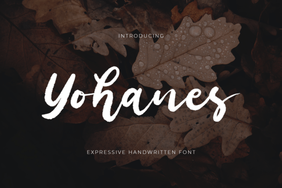 Choosing Yohanes: A Sweet Script Font for Modern Websites